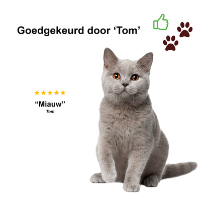 Laserpen 7-In-1 - Dieren - Rood - Oplaadbaar - Patronen - UV Licht